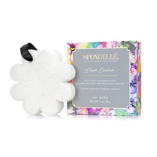 Spongelle Boxed Flower Sponge - Black Orchid