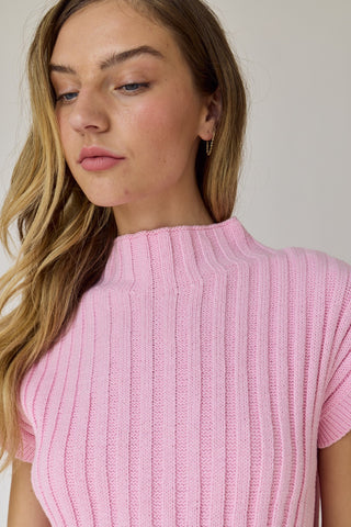 Rory Turtleneck Sweater Cropped Vest