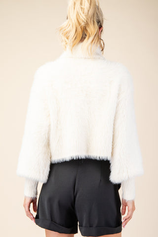 Winter Whisper Cropped Sweater