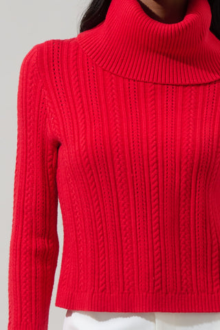 Red-y To Cuddle Turtleneck Sweater