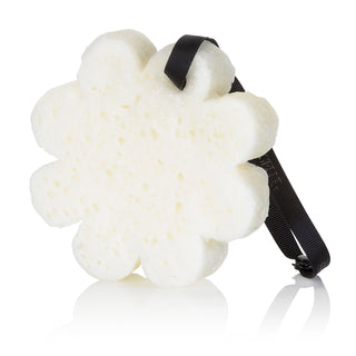 Spongelle Boxed Flower Sponge - Black Orchid