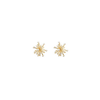 Jeweled Studs Earrings