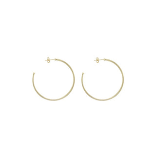 Sheila Fajl Perfect Hoops