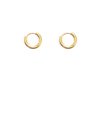 12mm Gold Plated Stainless Steel Hoops