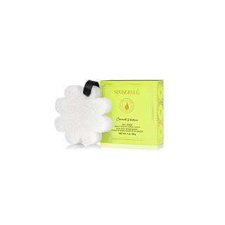 Spongelle Boxed Flower Sponge - Coconut Verbena