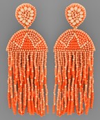 Seed Bead Tassel Earrings