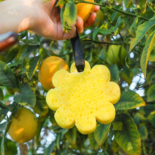 Spongelle Wild Flower Bath Sponge - Papaya Yuzu